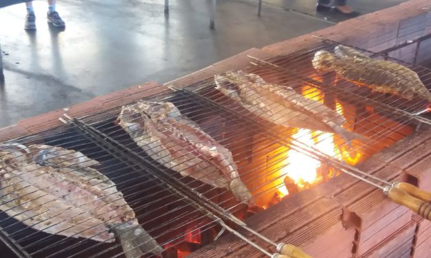 Festival da Tainha na Brasa agita fins de semana